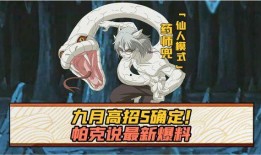 九月高招s最新爆料,最新爆料揭示高考政策与招生动态